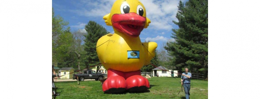 Wildquack Duck Race & Music Festival