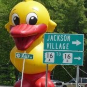 Wildquack Duck Race & Music Festival