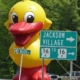 Wildquack Duck Race & Music Festival