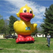 Wildquack Duck Race & Music Festival