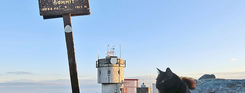 Mount Washington Observatory